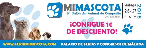 descuentos