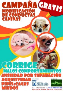 caninos