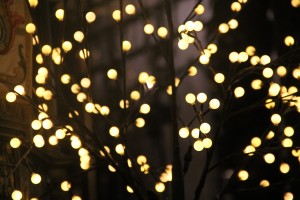 LUCES