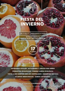 fiesta de invierno marbella