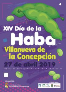 fiesta en villa nueva de la concepcion