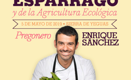 feria del esparrago