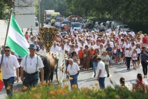 romeria de san bernabe