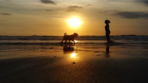 playa caninas