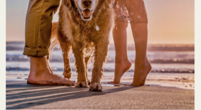 playa para perros