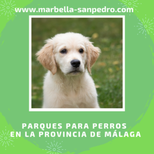 parques caninos malaga