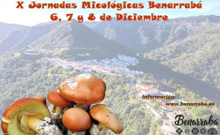 jornadas