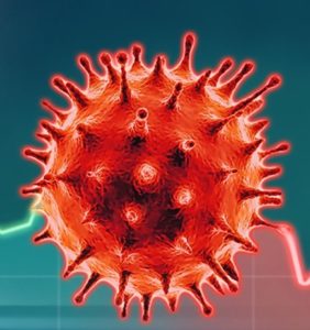 corona virus