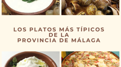 platos tipicos