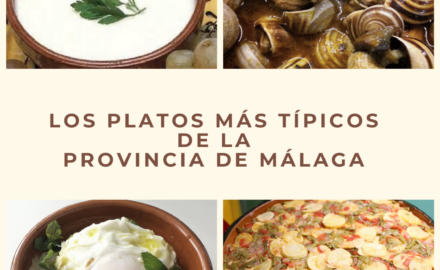 platos tipicos