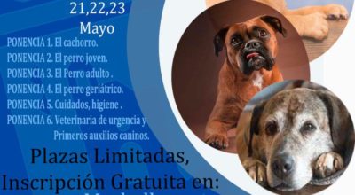 congreso canino