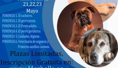 congreso canino