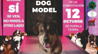 TERCERA PASARELA DOG MODEL MARBELLA
