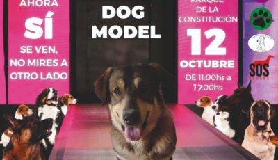 TERCERA PASARELA DOG MODEL MARBELLA