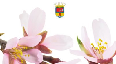 ruta del almendro