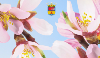 Día del Almendro en Guaro – 2 de febrero de 2025: Naturaleza, Cultura y Tradición