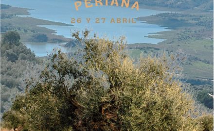 Periana celebra el XXIV Día del Aceite Verdial