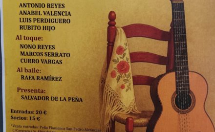 XLII Festival de Cante Flamenco en San Pedro Alcántara: Una noche mágica de arte y tradición
