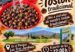 Cartel del tostón tradicional San Pedro Alcántara en el parque Los Tres Jardines, 1 de noviembre